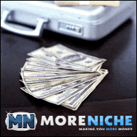 Make More Money with MoreNiche